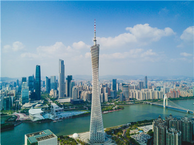 深入挖掘知识，畅享精彩学习之旅